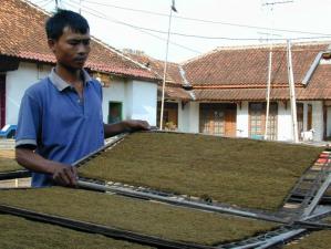  Pembatasan Impor Tembakau Sebaiknya Bertahap